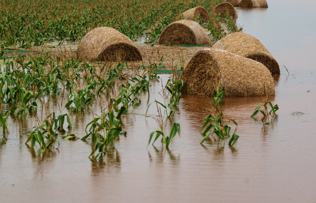 150-years-of-canadian-agriculture-what-s-changed-what-hasn-t-and-what